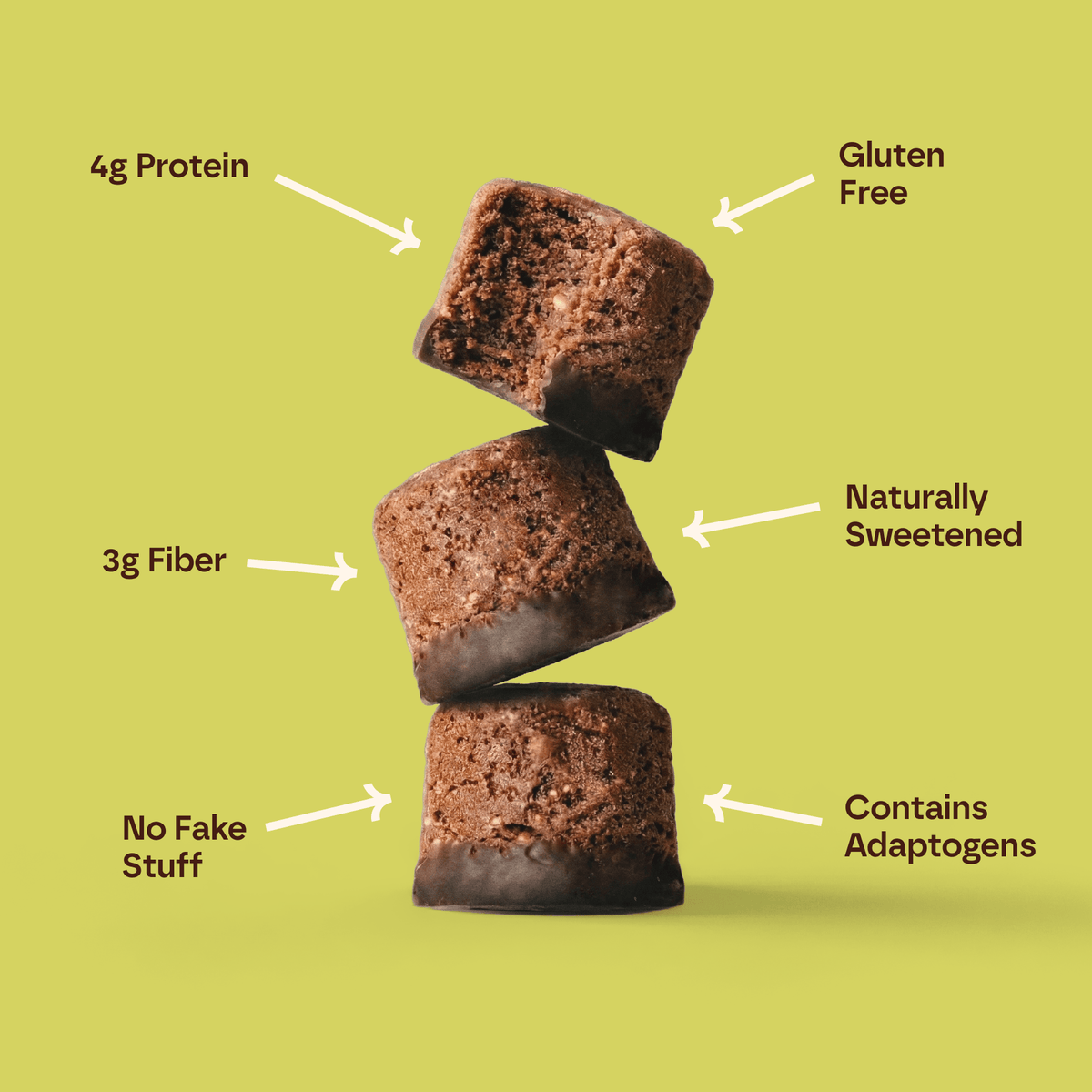 Fudge Cocoa Brownie